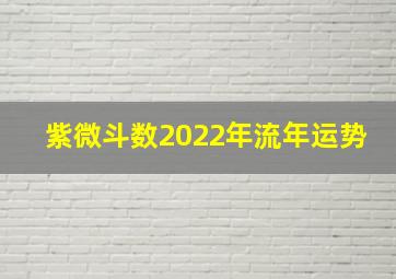 紫微斗数2022年流年运势