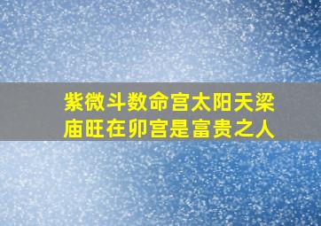 紫微斗数命宫太阳天梁庙旺在卯宫是富贵之人