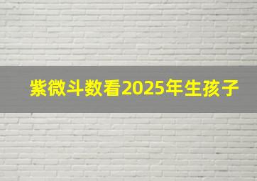 紫微斗数看2025年生孩子