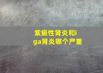 紫癜性肾炎和iga肾炎哪个严重