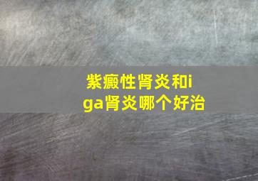 紫癜性肾炎和iga肾炎哪个好治