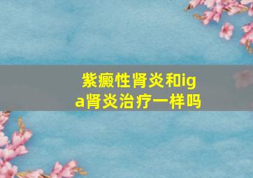 紫癜性肾炎和iga肾炎治疗一样吗