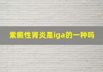 紫癜性肾炎是iga的一种吗