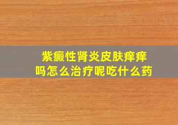 紫癜性肾炎皮肤痒痒吗怎么治疗呢吃什么药