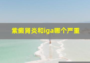 紫癜肾炎和iga哪个严重