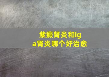 紫癜肾炎和iga肾炎哪个好治愈