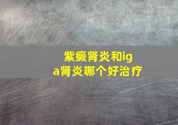 紫癜肾炎和iga肾炎哪个好治疗