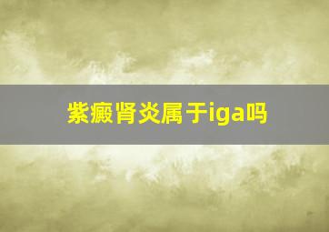 紫癜肾炎属于iga吗