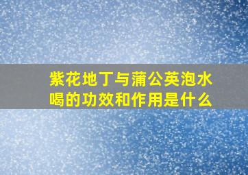 紫花地丁与蒲公英泡水喝的功效和作用是什么