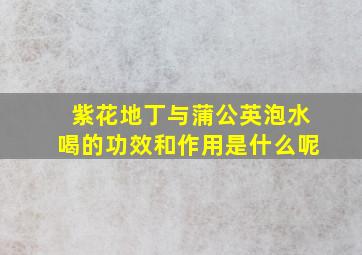 紫花地丁与蒲公英泡水喝的功效和作用是什么呢