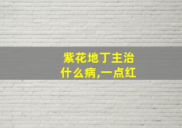 紫花地丁主治什么病,一点红