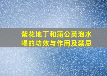 紫花地丁和蒲公英泡水喝的功效与作用及禁忌