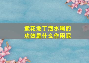 紫花地丁泡水喝的功效是什么作用呢