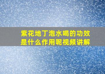 紫花地丁泡水喝的功效是什么作用呢视频讲解