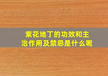 紫花地丁的功效和主治作用及禁忌是什么呢