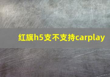 红旗h5支不支持carplay