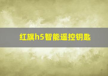 红旗h5智能遥控钥匙