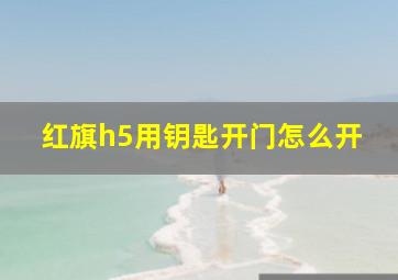 红旗h5用钥匙开门怎么开