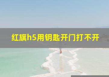 红旗h5用钥匙开门打不开