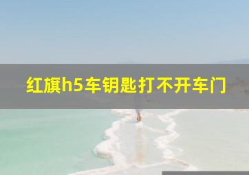 红旗h5车钥匙打不开车门