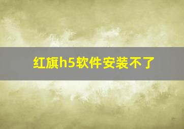 红旗h5软件安装不了