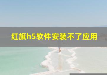 红旗h5软件安装不了应用