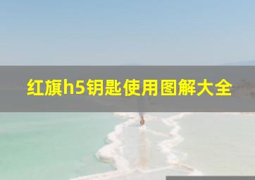 红旗h5钥匙使用图解大全