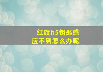 红旗h5钥匙感应不到怎么办呢