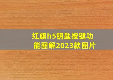 红旗h5钥匙按键功能图解2023款图片