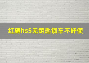 红旗hs5无钥匙锁车不好使