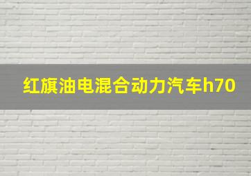 红旗油电混合动力汽车h70