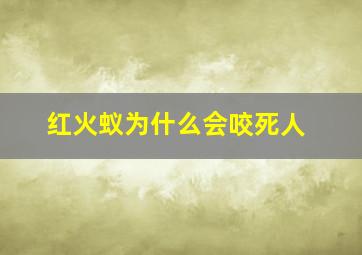 红火蚁为什么会咬死人