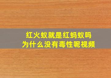 红火蚁就是红蚂蚁吗为什么没有毒性呢视频