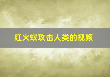 红火蚁攻击人类的视频