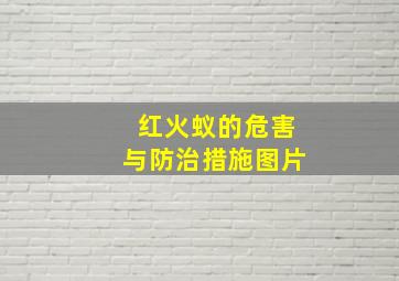 红火蚁的危害与防治措施图片