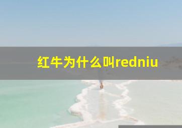 红牛为什么叫redniu