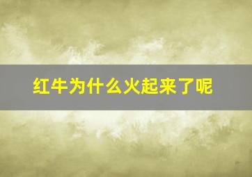 红牛为什么火起来了呢