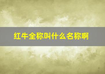 红牛全称叫什么名称啊