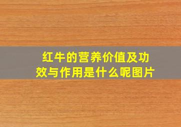 红牛的营养价值及功效与作用是什么呢图片