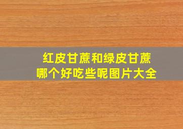 红皮甘蔗和绿皮甘蔗哪个好吃些呢图片大全