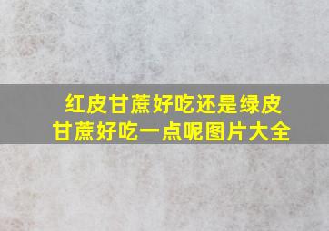 红皮甘蔗好吃还是绿皮甘蔗好吃一点呢图片大全