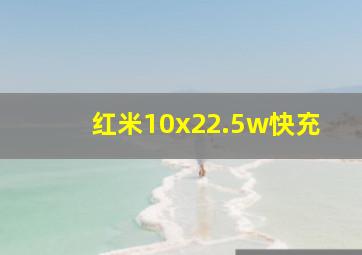 红米10x22.5w快充