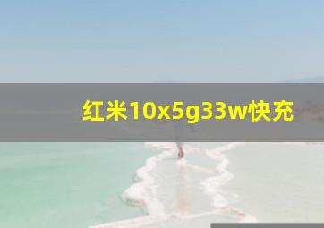 红米10x5g33w快充