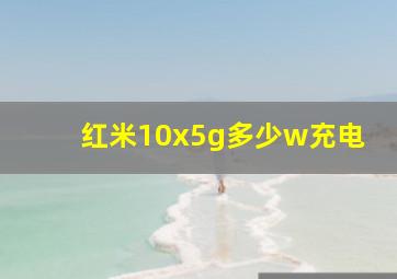 红米10x5g多少w充电