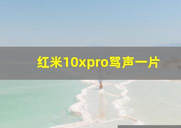 红米10xpro骂声一片