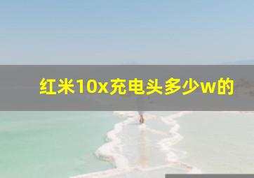 红米10x充电头多少w的