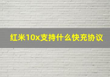 红米10x支持什么快充协议