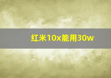 红米10x能用30w