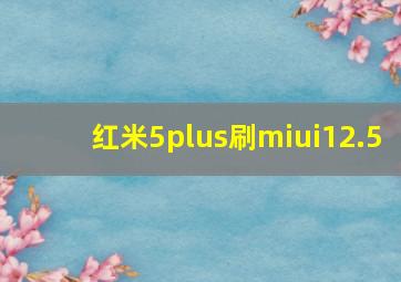 红米5plus刷miui12.5