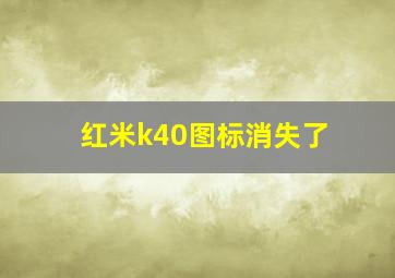 红米k40图标消失了